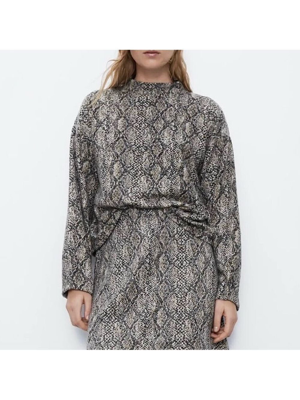 Zara Snake Print Mock Neck Cropped Pullover Sweater